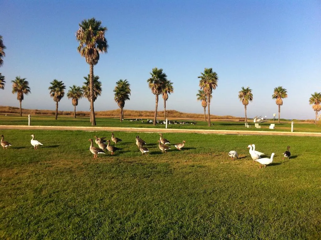 Life Apartments Costa Ballena